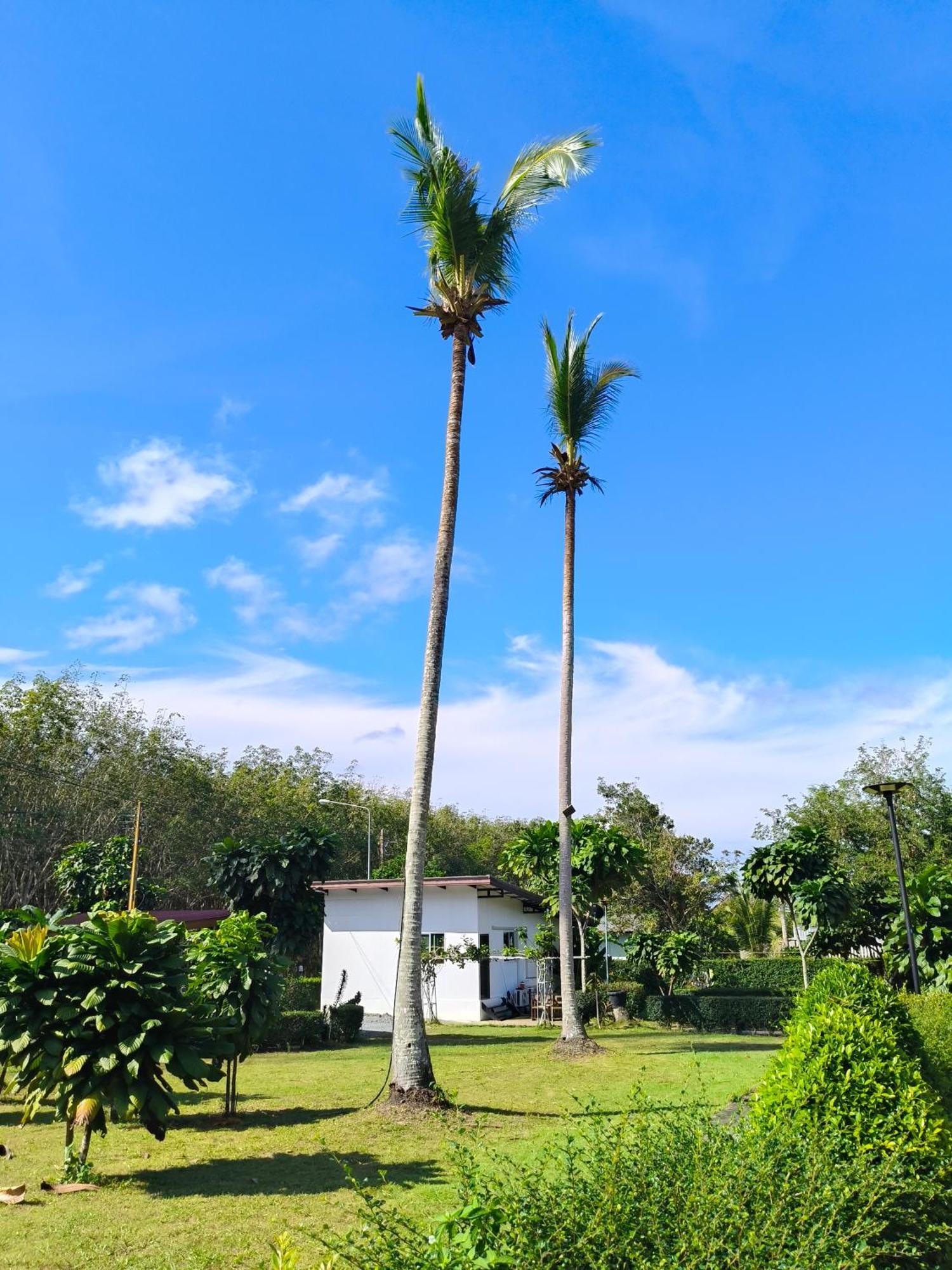 The Lodge At Koh Kood Ko Kut Εξωτερικό φωτογραφία