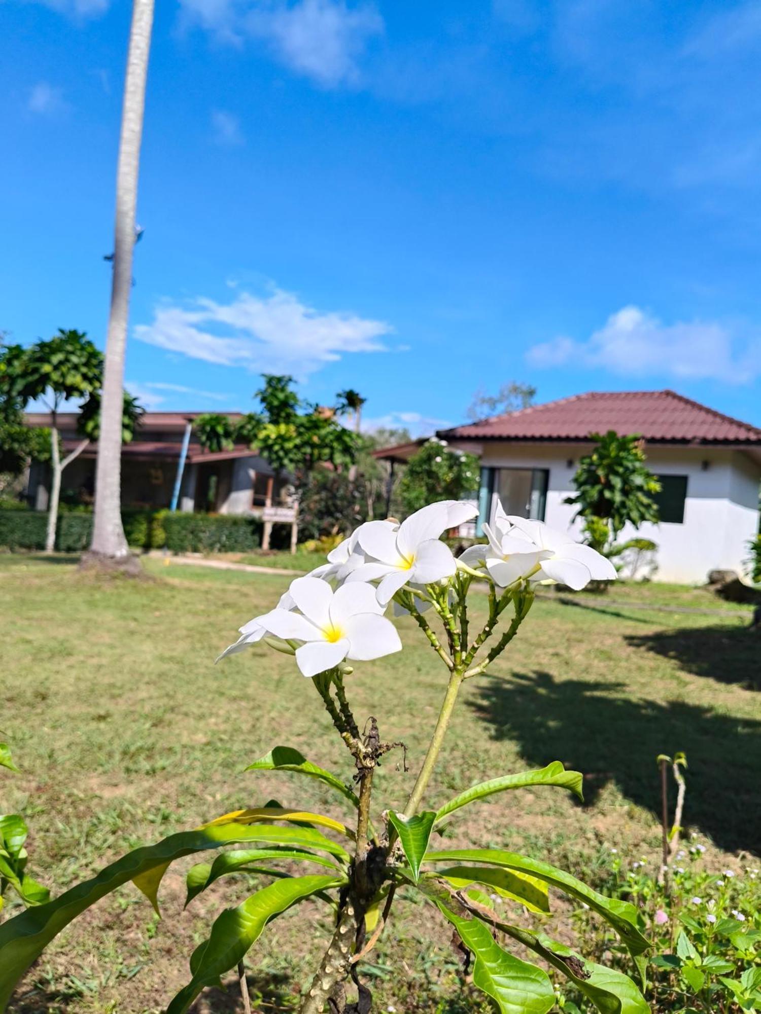 The Lodge At Koh Kood Ko Kut Εξωτερικό φωτογραφία